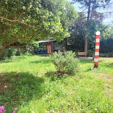 - Faro Rijeka